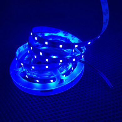 фото Комплект світлодіодної LED стрічки 5м 60led/m синій