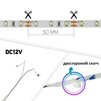 фото LED стрічка Prolum S 12в 2835 60led/m ip20 теплий