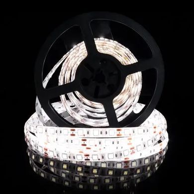 фото LED стрічка Biom Standart 12в 5050 60led/m ip65 білий