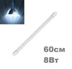 фото LED лампа Biom Т8 G13 60см 8вт 6200К
