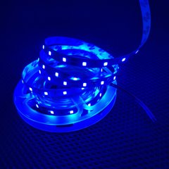 фото LED стрічка AVT №1 12в 2835 60led/m ip20 синій