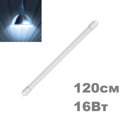 фото LED лампа Biom Т8 G13 120см 16вт 6200К